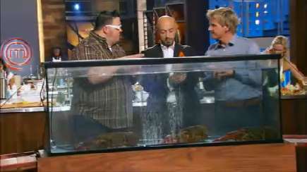 MasterChef | Top 11 Compete